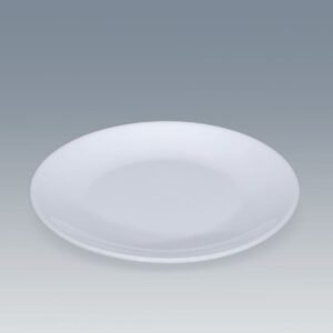 10 inch shallow dishe with white color