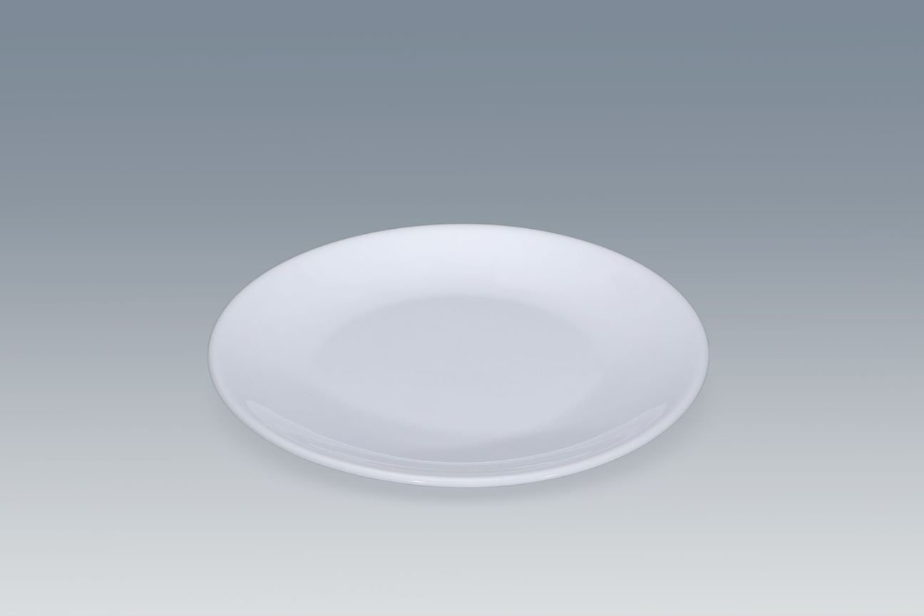 10 inch shallow dishe with white color